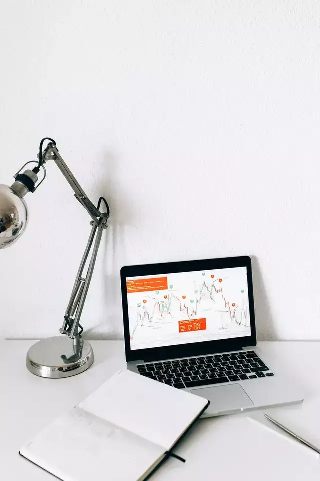 domain rating checker online